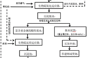 基于生物硫循環(huán)實(shí)現(xiàn)廢水污泥中重金屬去除與回收的處理方法