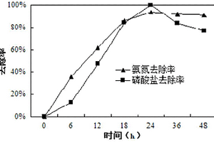 一株高鹽異養(yǎng)硝化-好氧反硝化除磷的鹽弧菌及其在廢水處理中的應(yīng)用