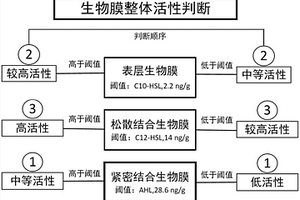 系統(tǒng)判別污廢水處理系統(tǒng)中生物膜活性的方法