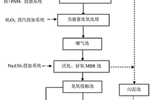 蒽醌類染料生產(chǎn)廢水的預處理系統(tǒng)及應用