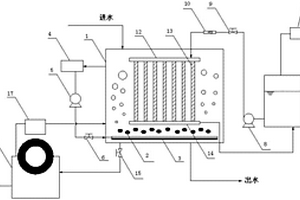 用于廢水處理的正滲透膜磁性厭氧生物反應(yīng)器