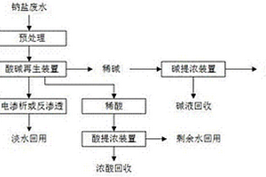 高濃度鈉鹽廢水的資源化處理系統(tǒng)、處理方法及應(yīng)用