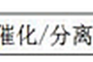 催化分離反應(yīng)深度處理化工行業(yè)廢水系統(tǒng)及方法