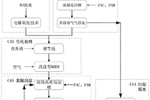 石化行業(yè)循環(huán)排污水及RO濃水的處理系統(tǒng)及廢水處理工藝