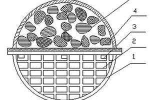 磁載體生物膜反應(yīng)器及其用于廢水污泥減量化處理的方法