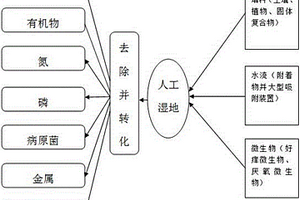 廢水的人工濕地凈化方法