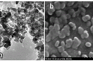 殼聚糖改性的納米TiO<Sub>2</Sub>光催化超濾膜在有機(jī)廢水處理中的應(yīng)用