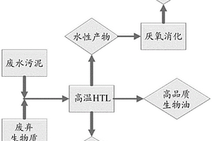 用于生物氣和生物油的共同生產(chǎn)的廢水污泥和木質(zhì)纖維素生物質(zhì)的水熱液化協(xié)同處理