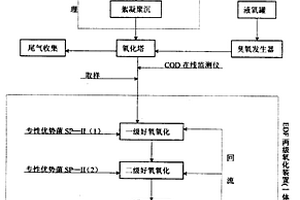 臭氧+生化法處理含天然氣防凍劑廢水工藝