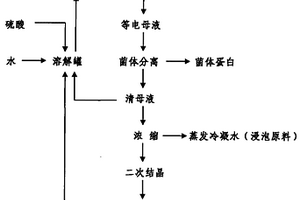 低物耗少?gòu)U水的谷氨酸提取新工藝