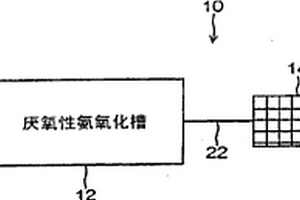 菌體回收方法、裝置及馴化方法以及廢水處理裝置