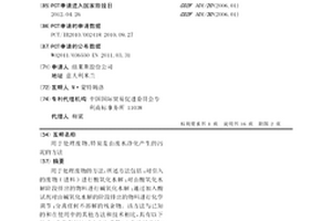 用于處理廢物、特別是由廢水凈化產(chǎn)生的污泥的方法