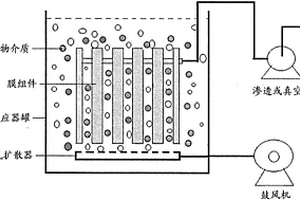 用于處理廢水的增強(qiáng)膜生物反應(yīng)器方法