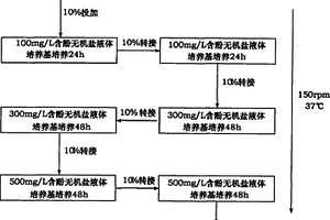 高效降酚嗜鹽菌的制備及其應(yīng)用