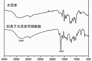 水溶性陽離子木質(zhì)素基可聚合單體、其制備方法及其應(yīng)用