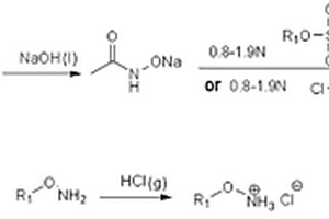 一鍋法制備O-烷基羥胺鹽酸鹽和N,O-二烷基羥胺鹽酸鹽的方法