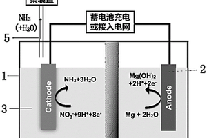 將硝酸鹽廢水轉(zhuǎn)化為氨的電池系統(tǒng)