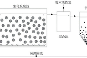 利用載體流態(tài)化生物膜反應(yīng)器處理廢水的方法