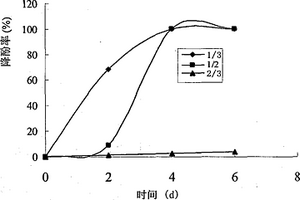 一株Diaphorobacter菌在焦化廢水除酚中的應(yīng)用