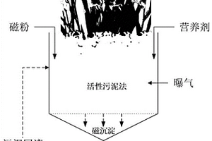 用于深度生物處理納米級(jí)電子芯片廢水的方法