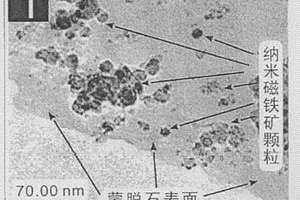 廢水中Cr6+的處理方法及所用蒙脫石基納米磁鐵礦的制備方法