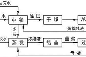 胺鹽廢水的處理工藝