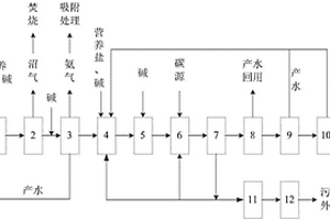 含DMF廢水的零排放處理系統(tǒng)及其方法