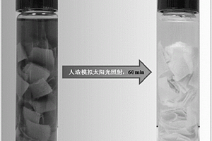 滌/棉一浴法染色的棉基光催化處理染色廢水的方法