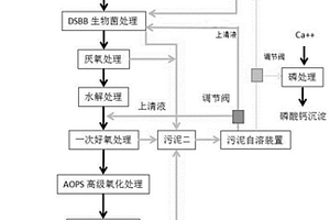 醇提取植物有效成份過程中的廢水處理CNBB工藝及裝備