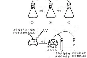 微生物及其制備方法和在有機廢水處理中的應用