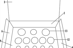 基因重組發(fā)光菌綜合毒性測定試劑盒