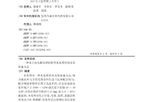 基于內(nèi)電解原理的新型水處理藥劑及其制備方法