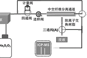 分離測(cè)定納米銀和銀離子的方法