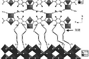 利用氫鍵構(gòu)建TiO<Sub>2</Sub>納米管-MOF復合光催化劑的方法及其應用