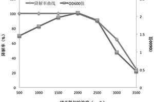 脫氮菌株及微生物菌劑和應用