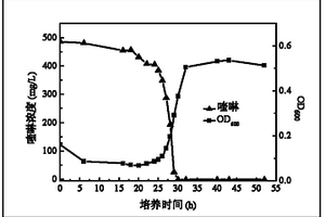 一株喹啉降解菌及其應(yīng)用