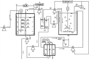 高效反硝化燃料電池耦合IEM-UF組合膜脫氮裝置