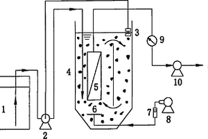 用于污水處理的流化床膜生物反應(yīng)器