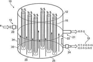 光生物反應(yīng)器