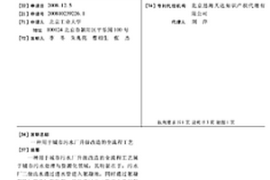 用于城市污水廠升級(jí)改造的全流程工藝