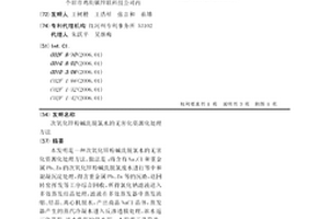 次氧化鋅粉堿洗脫氯水的無害化資源化處理方法