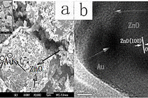 蜂窩狀Au-ZnO異質結可見光催化劑的制備方法
