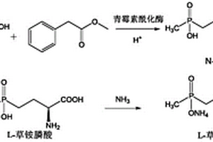 酶拆分法制備L-草銨膦的工藝