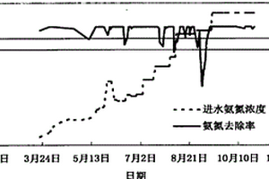 異養(yǎng)硝化菌的篩選方法