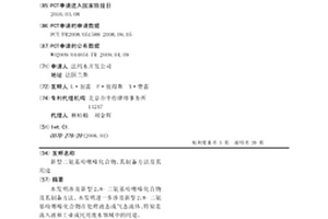 新型二氨基吩噻嗪化合物、其制備方法及其用途