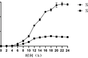 粘著劍菌胞外多糖高效制備方法及其應(yīng)用