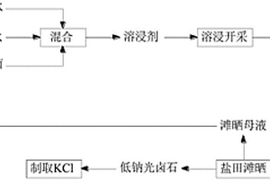 基于煤化工中高濃鹽水的溶浸劑