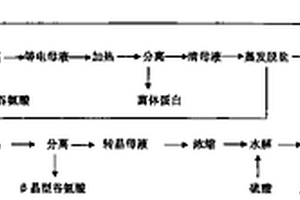 結(jié)合轉(zhuǎn)晶的谷氨酸提取工藝