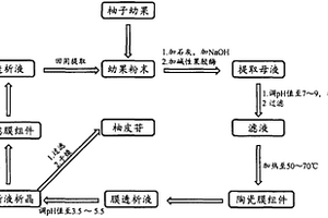 柚皮苷的制備方法