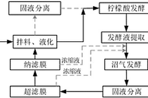 利用資源化厭氧消化液生產(chǎn)檸檬酸的方法